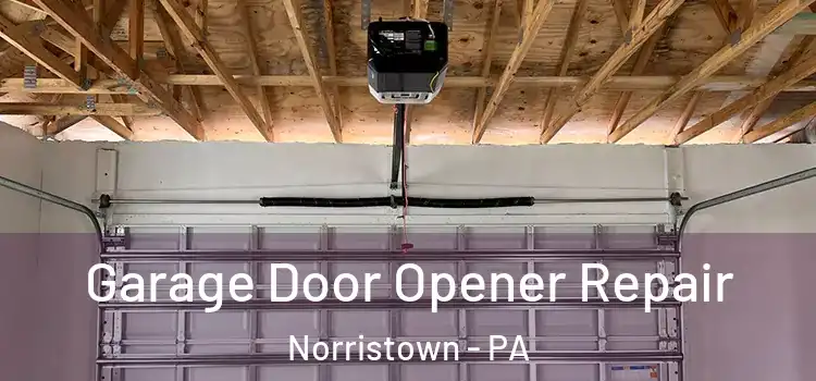  Garage Door Opener Repair Norristown - PA