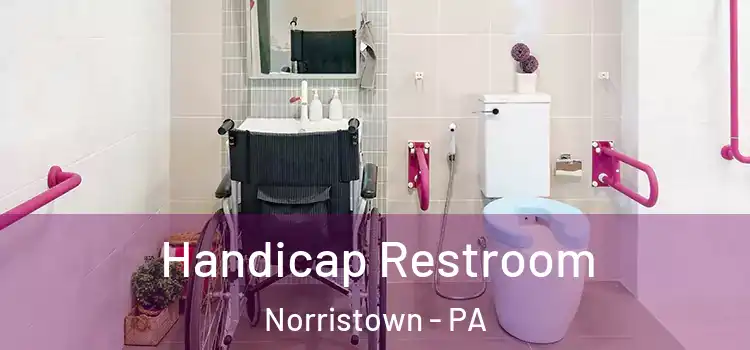  Handicap Restroom Norristown - PA